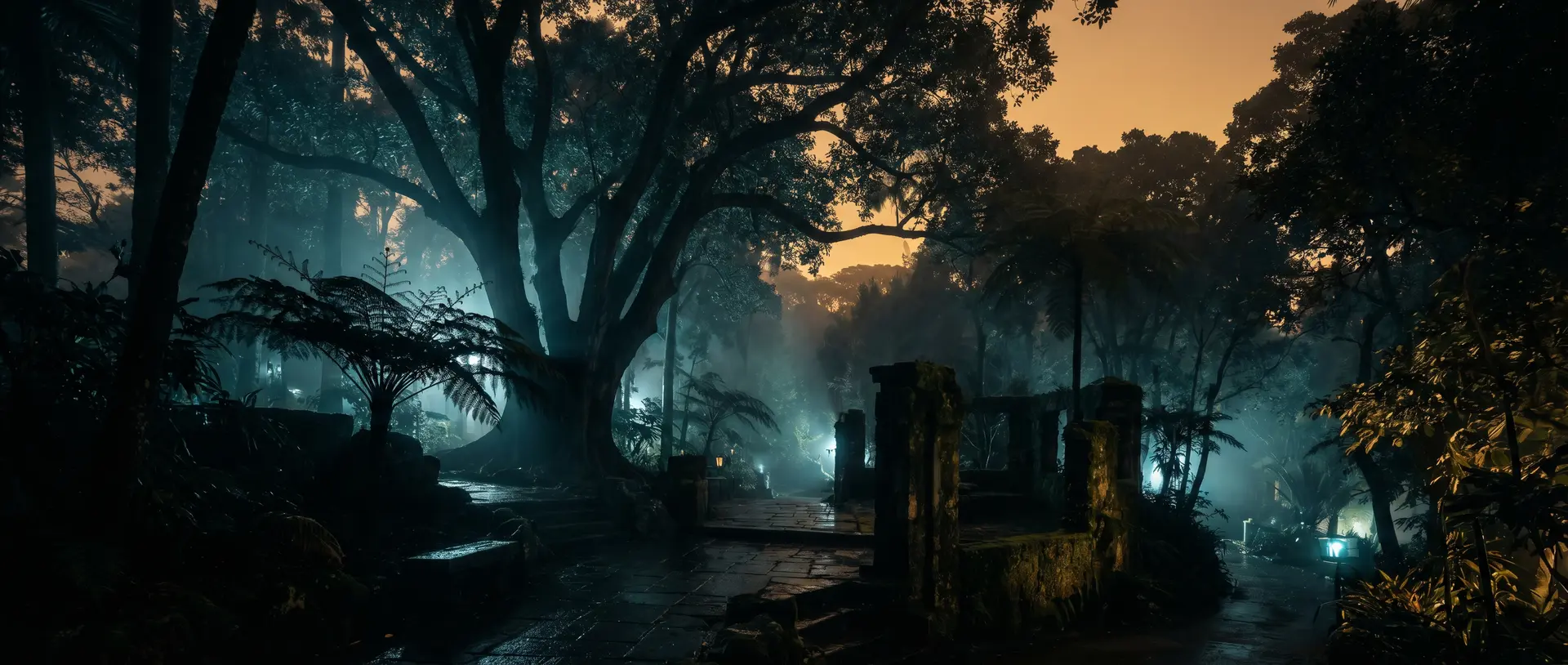 看片肖申克的救赎植物视频